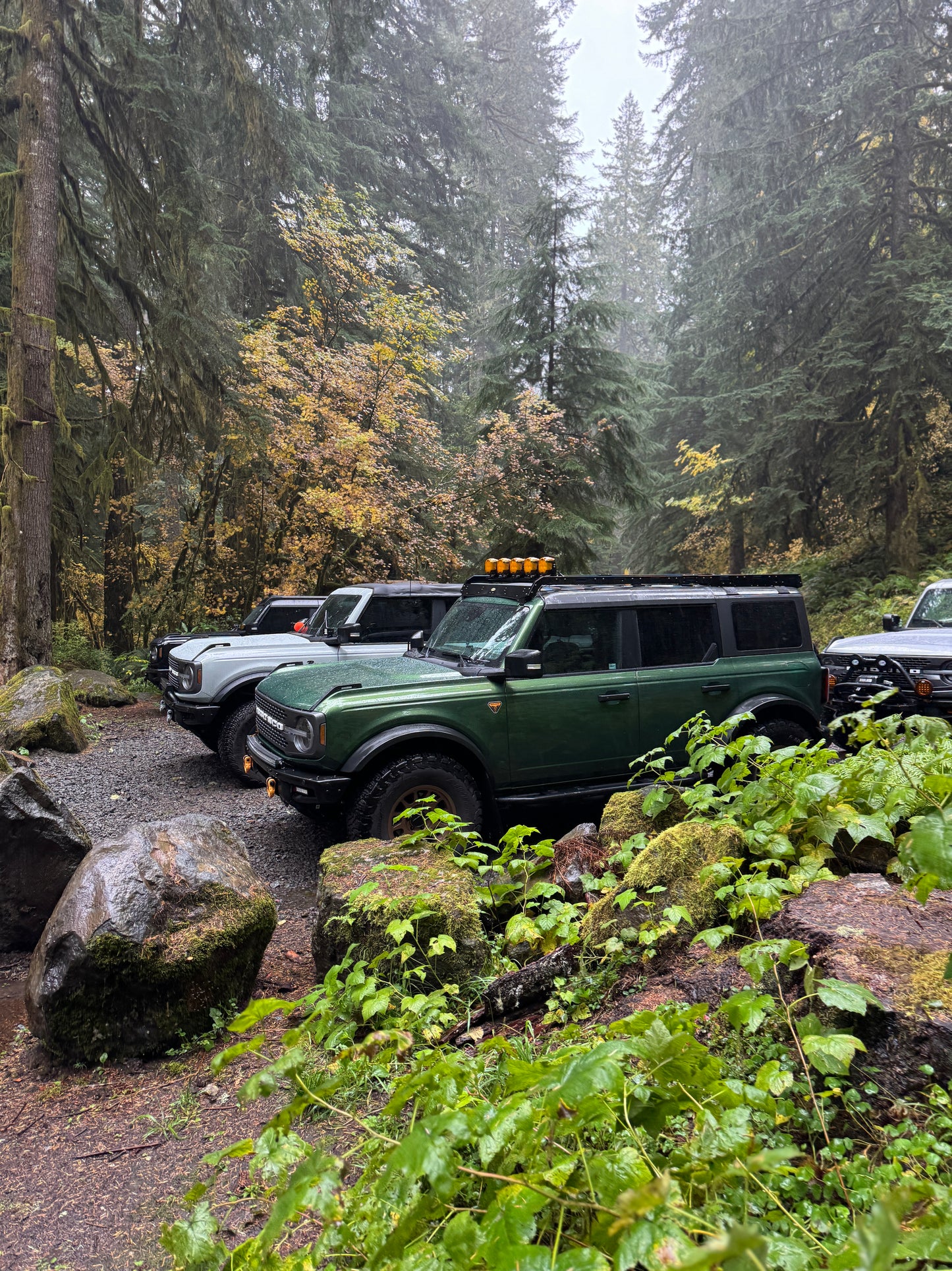 Premium - Mudflaps for Bronco