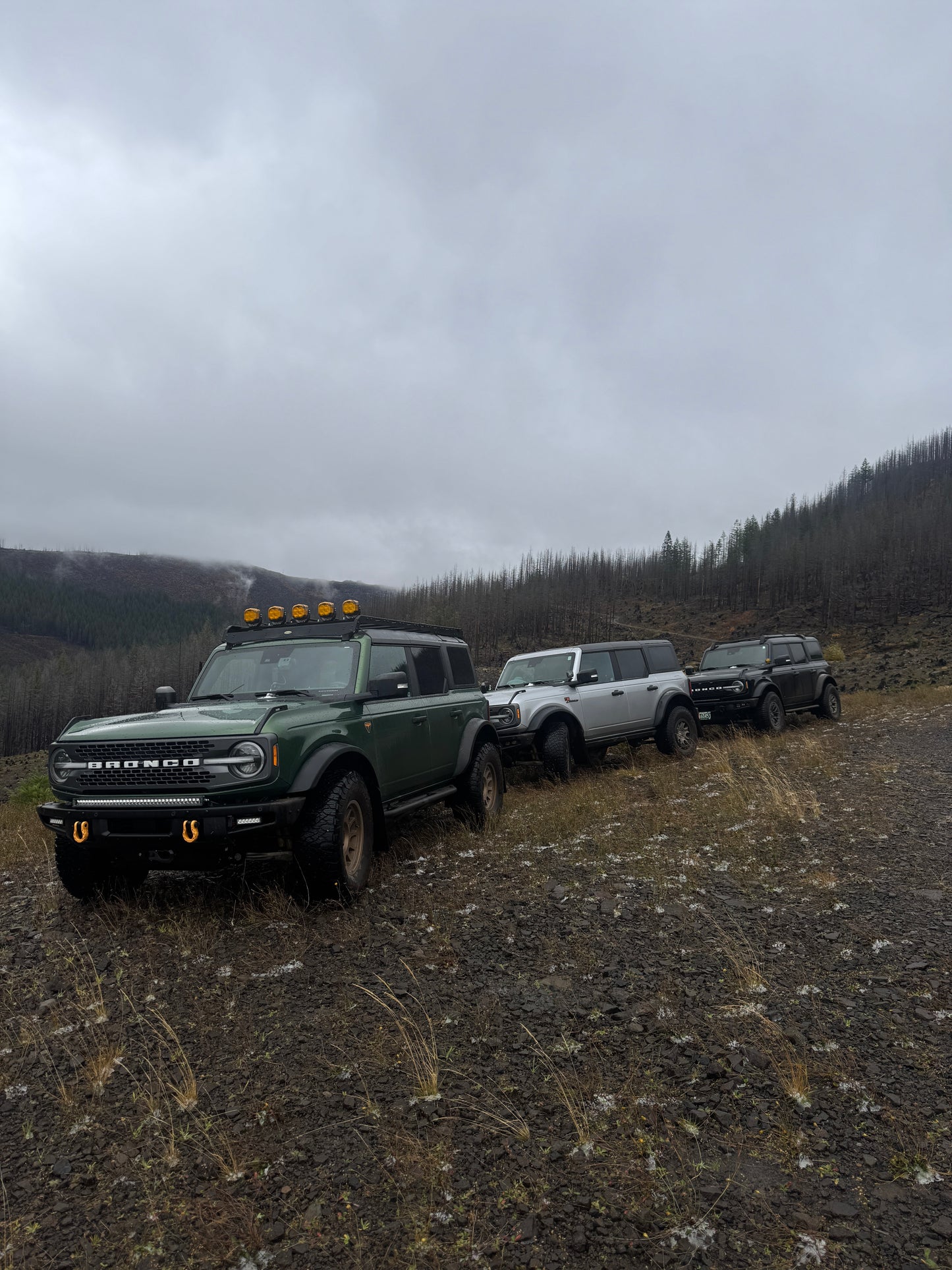 Premium - Mudflaps for Bronco