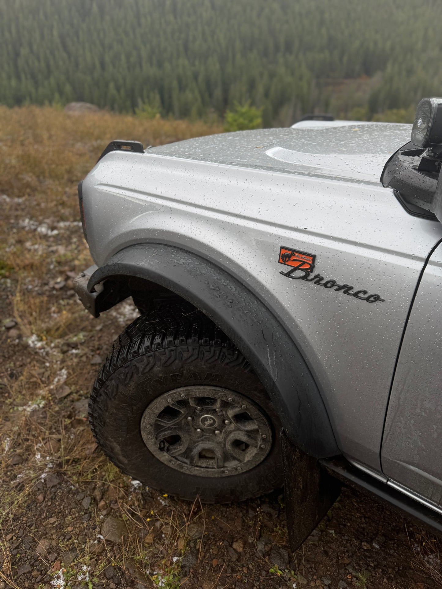 Premium - Mudflaps for Bronco